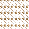 Lola Original Dishwashing & Vegetable Brushes with beech hardwood handles and tan tampico-fiber round heads, bulk display of 144