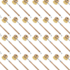 Bulk case pattern of Lola Original Tampico small dish brushes, 72-pack, with wood handles, chrome wire connectors and natural bristles