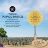 Replacement Head For "The Original" Tampico Vegetable & Dish Brush - Small Head