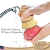 Le Brush natural tampico bristle brush close-up showing bristle texture and detailed brush construction