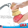 "The Original" Tampico Le Brush - Tampico Bristle Vegetable Brush with Comfort Wood Knob ($9.99 sale for 2)