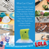 Infographic: What can I clean? Dishware, counters, appliances, cutting boards, glassware, furniture, cars, decks, tools, toys, bath fixtures