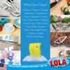 Scrub Boss cleaning multiple kitchen surfaces including dishes, glasses, and countertops for home cleaning