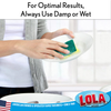Person washing a plate with green scrubbing side of sponge; text: Use damp or wet, American owned family business since 1969