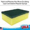 Scour-n-Sponge dishwashing sponge washing a plate at the kitchen sink during kitchen dish cleaning