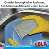Gloved hand using silver Lola Wonder Scourer to scrub a blue plate at sink; for kitchen appliances, sinks and greasy surfaces