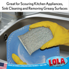 Silver Wonder Scourer scrubbing a blue plate at sink, for scouring kitchen appliances, sinks and removing grease