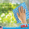 Infographic: Great for cleaning windows, reusable blue and white patterned cloth pressed by hand against glass window