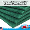 Stack of Lola green scouring pads with text: Heavy duty fiber for a range of scrubbing jobs; American owned since 1969.