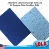 Dual-sided cleaning sponge with absorbent cellulose sponge side and all-purpose fiber scrubber side shown separately