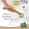 Serious Scrubbing Power infographic with hand gripping bamboo dish brush scrubbing a soaking white plate in sink