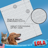 Lola Dry Sweeping Cloth pad, 11 x 8.5 inches, with Peak & Valley embossed texture for collecting pet hair, dust, and dirt