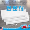 Lola Wet and Dry Starter Kit handle showing extension mechanism for adjustable cleaning tool reach