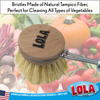 Lola vegetable brush with natural Tampico fiber bristles, round birch wood head, and fresh vegetables